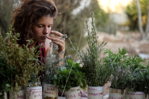 קורס צמחי מרפא ותזונה בחווה האקולגית - חווה ואדם