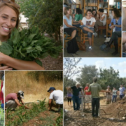 קורס תכנון פרמקלצ'ר