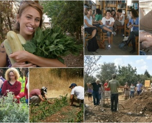 תמונות משולבות מהחווה גודל טוב2